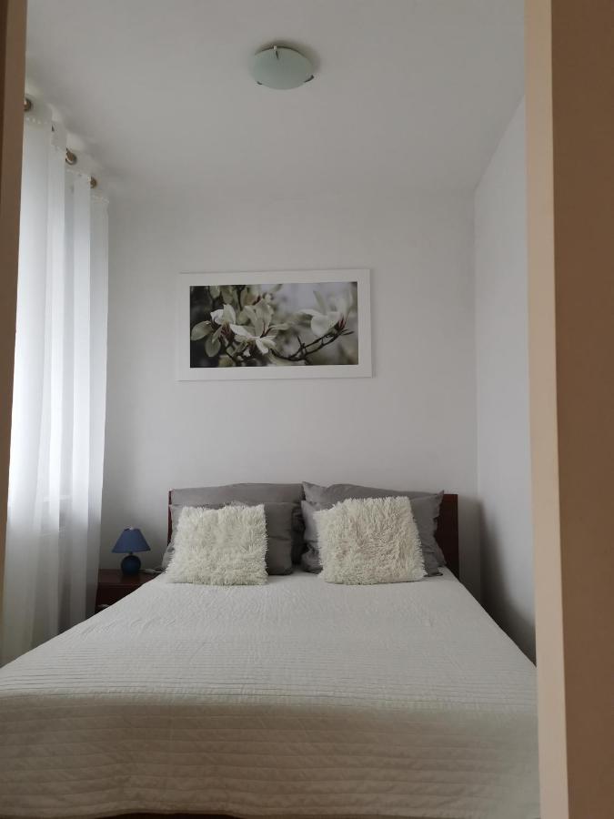 Apartament Reymonta Przy Morzu コウォブジェク エクステリア 写真